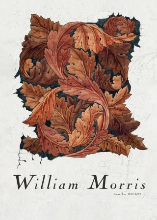 Ilustrace Acanthus, William Morris,