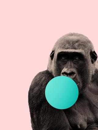 Ilustrace Bubblegum gorilla, Finlay & Noa,