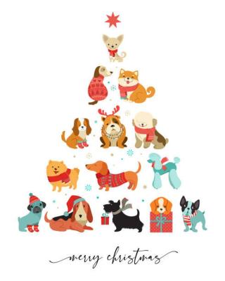 Ilustrace Collection of Christmas dogs, Merry Christmas, ma_rish,