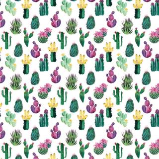 Ilustrace Colorful painterly cacti, Blursbyai,