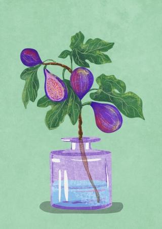 Ilustrace Figs Branch In Vase, Raissa Oltmanns,