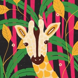 Ilustrace Giraffe-Animal Trilogy, Shriya Bhattacharya,