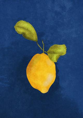 Ilustrace Just a little lemon, Raissa Oltmanns,