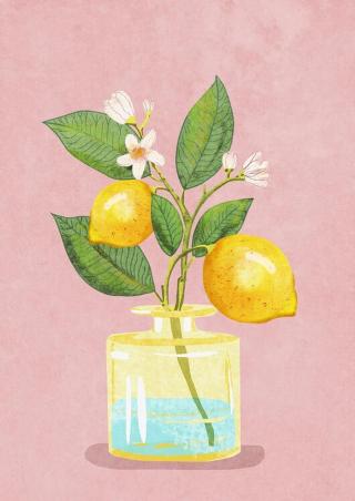 Ilustrace Lemon Bunch In Vase, Raissa Oltmanns,