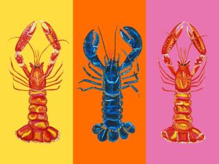 Ilustrace Lobster Langoustines Pop Art 3, Alice Straker,