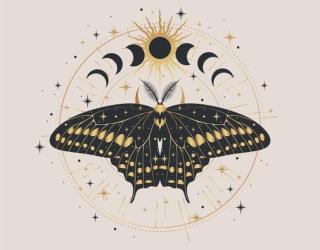 Ilustrace Mystic gold moth isolated vector illustration., Lyubov Ovsyannikova,