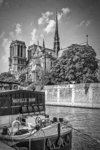Ilustrace PARIS Cathedral Notre-Dame | monochrome, Melanie Viola,