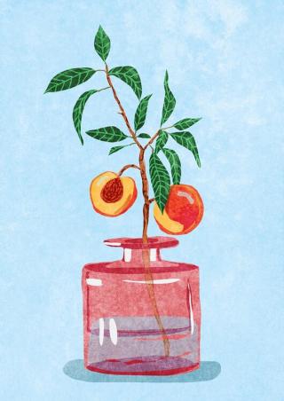 Ilustrace Peach Tree in Vase, Raissa Oltmanns,