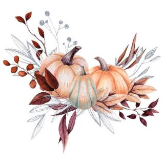 Ilustrace Watercolor Bouquet with Pumpkins and Silver Leaves, Nebula Cordata,