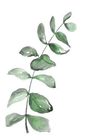 Ilustrace Watercolor greenery branch, Blursbyai,