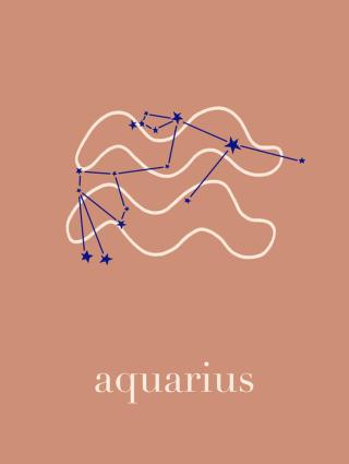 Ilustrace Zodiac - Aquarius - Terracotta, Alina Buffiere,
