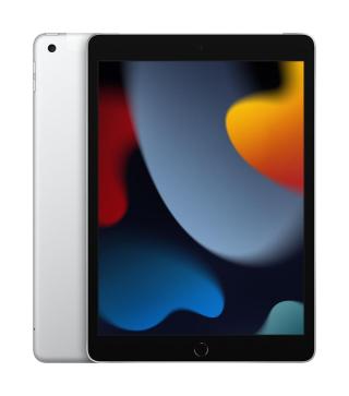 IPad Wi-Fi + Cellular 256GB Silver