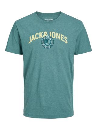 Jack&Jones PLUS Pánské triko JJEJEANS Standard Fit 12235455 Trellis 4XL