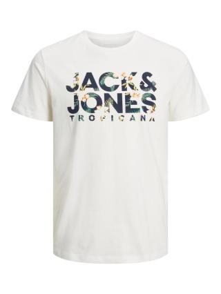 Jack&Jones PLUS Pánské triko JJESHARK Regular Fit 12225322 Cloud Dancer 3XL