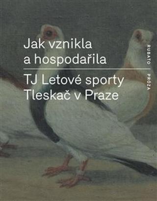 Jak vznikla a hospodařila TJ Letové sporty Tleskač v Praze - autorů - e-kniha