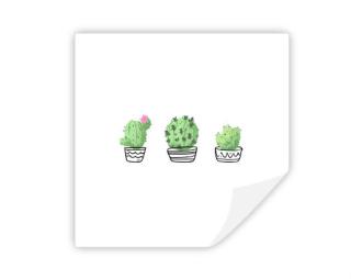 Kaktusy Samolepky hranatý čtverec