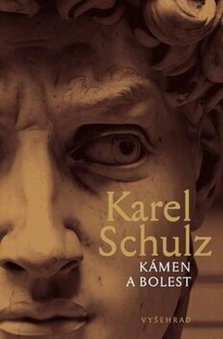 Kámen a bolest - Karel Schulz