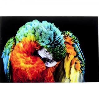 KARE Design Skleněný obraz Tropical Parrot 120x80cm