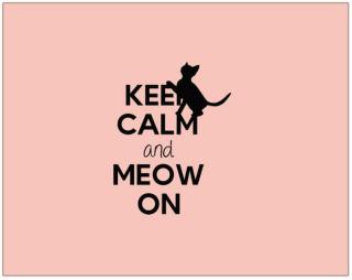 Keep calm and meow on Dárkový balící papír