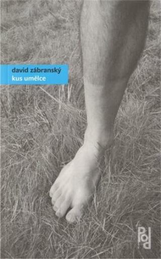 Kus umělce - David Zábranský