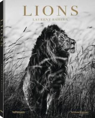 Laurent Baheux: Lions - Laurent Baheux