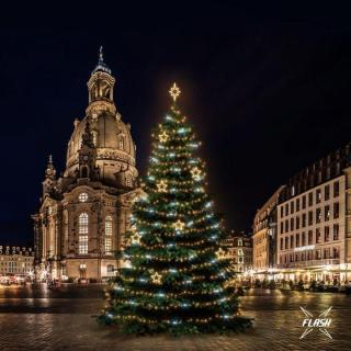 LED světelná sada na stromy vysoké 15-17m, teplá bílá s Flash, dekory 8EFD14W