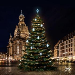 LED světelná sada na stromy vysoké 18-20m, teplá bílá s Flash, ledové dekory DZ113S4