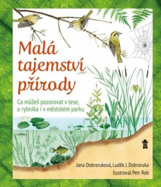 Malá tajemství přírody: Co můžeš pozorovat v lese, u rybníka i v městském parku  - Luděk Jindřich Dobroruka, Jana Dobroruková