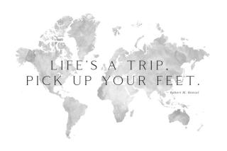 Mapa Life's a trip world map, Blursbyai,