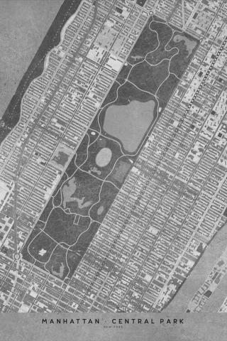 Mapa Map of Manhattan Central Park in gray vintage style, Blursbyai,