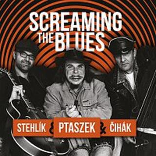 Matěj Ptaszek, Jan Stehlík, Jan Čihák – Screaming the Blues