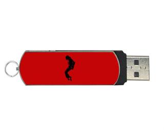 Michael Flash disk USB 8 GB