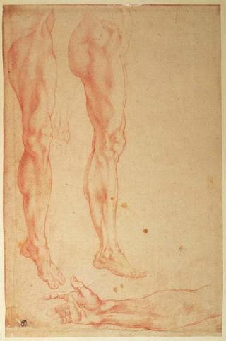 Michelangelo Buonarroti - Obrazová reprodukce Studies of Legs and Arms,