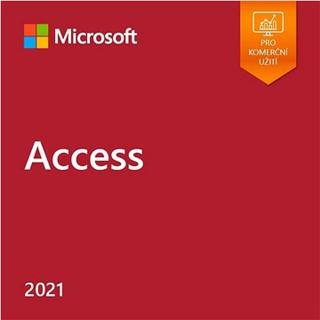 Microsoft Access LTSC 2021