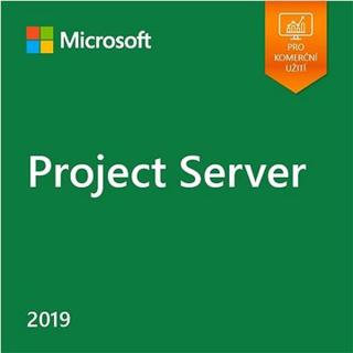Microsoft Project Server 2019