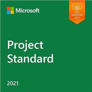 Microsoft Project Standard 2021