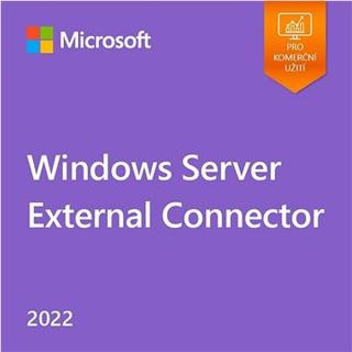 Microsoft Windows Server 2022 External Connector