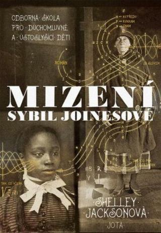 Mizení Sybil Joinesové - Shelley Jacksonová