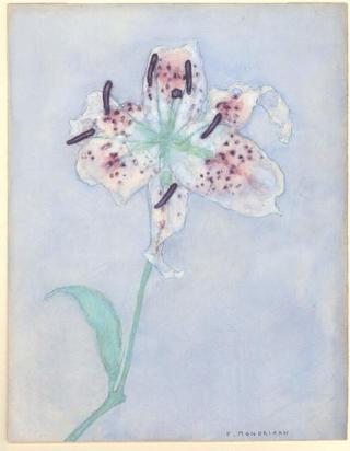 Mondrian, Piet - Obrazová reprodukce Lily, after 1921,