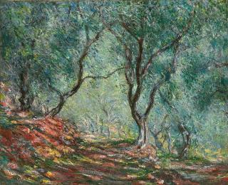 Monet, Claude - Obrazová reprodukce Olive Trees in the Moreno Garden; Bois d'oliviers au jardin Moreno,