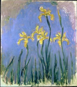 Monet, Claude - Obrazová reprodukce Yellow Irises; Les Iris Jaunes, c.1918-1925,