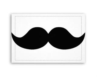 Moustache Fotoobraz 60x40 cm malý