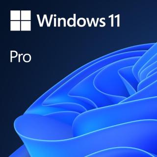 MS Win 11 Pro 64-bit Czech 1pk OEM DVD