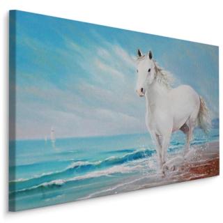 MyBestHome BOX Plátno Bílý Kůň Na Pobřeží Varianta: 30x20