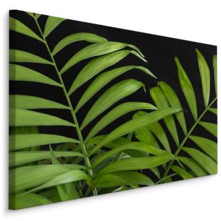 MyBestHome BOX Plátno Zelené Tropické Listy Na Černém Pozadí Varianta: 100x70