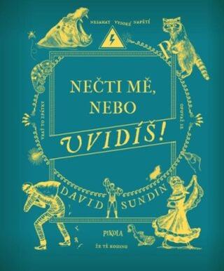 Nečti mě, nebo uvidíš! - David Sundin