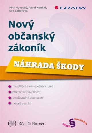 Nový občanský zákoník, Novotný Petr