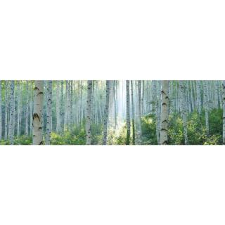 OBRAZ NA AKRYLOVÉM SKLE, stromy, 50/180/1,70 cm