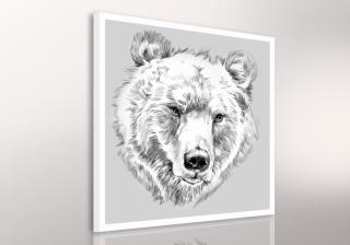 Obraz na plátně BEAR A různé rozměry Ludesign ludesign obrazy: 90x90 cm