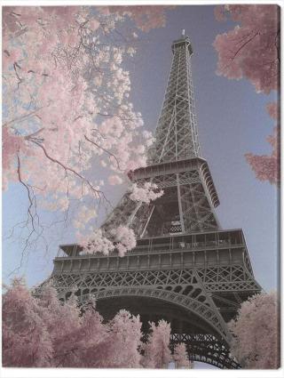 Obraz na plátně David Clapp - Eiffel Tower Infrared, Paris,